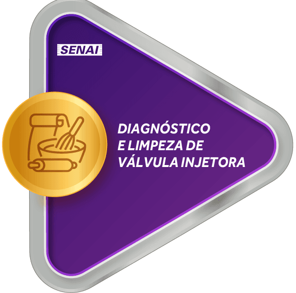 Diagnóstico e Limpeza de Válvula Injetora