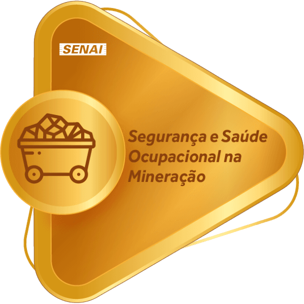 Segurança e Saúde Ocupacional na Mineração